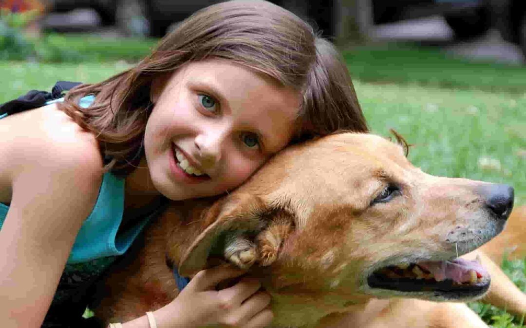Six-safety-tips-for-kids-and-pets