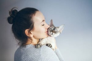 How to take care of Cats and Kittens