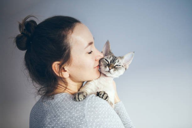 How to take care of Cats and Kittens