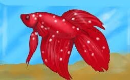 How to Treat White Spot Disease on Freshwater Fish
