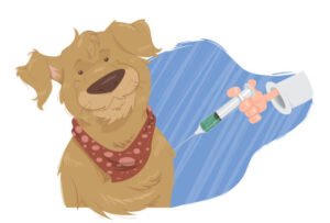 Everything You Must Know About Vaccinating Your Dog