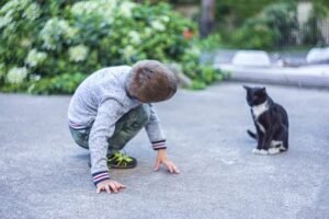 Do Cats Make Good Pets For Kids