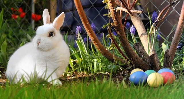 easter 2173193 640
