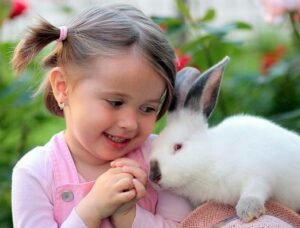 Getting a pet rabbit