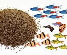 How to choose the best fish food