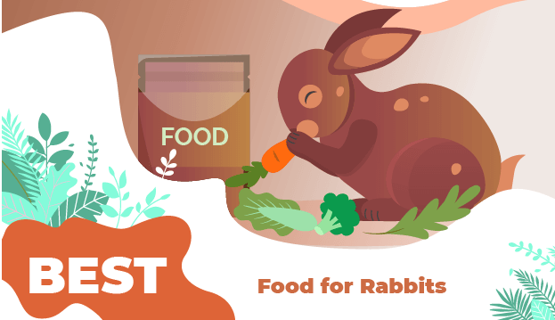 Best packaged foods for rabbit