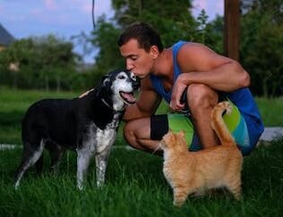 Does Your Dog or Cat Need Pet Insurance?