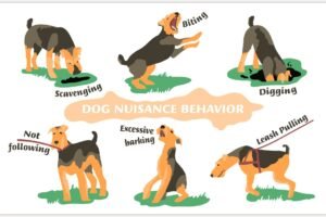Some Common Dog Behavior Problems and Solutions