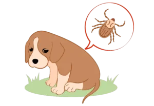 Eight Tips for Keeping Your Dog Free From Tick-Borne Diseases