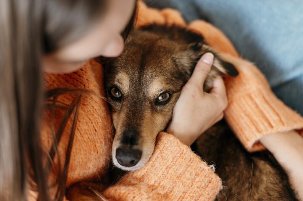 woman petting adorable dog